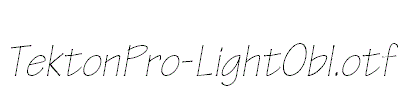 TektonPro-LightObl