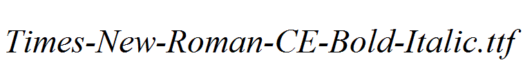 Times-New-Roman-CE-Bold-Italic