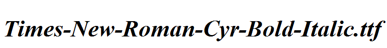 Times-New-Roman-Cyr-Bold-Italic