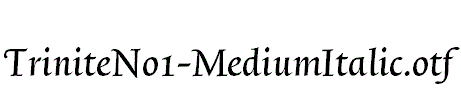 TriniteNo1-MediumItalic