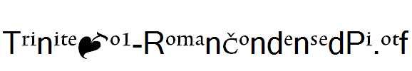 TriniteNo1-RomanCondensedPi