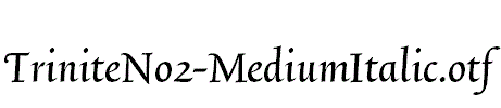 TriniteNo2-MediumItalic