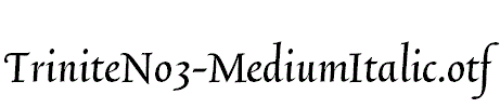 TriniteNo3-MediumItalic