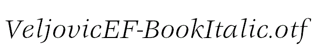 VeljovicEF-BookItalic