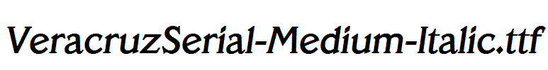 VeracruzSerial-Medium-Italic