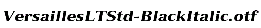 VersaillesLTStd-BlackItalic