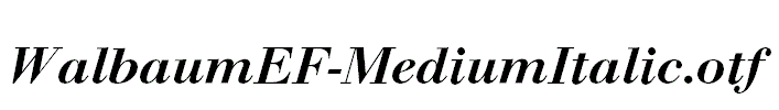 WalbaumEF-MediumItalic